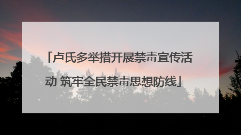 卢氏多举措开展禁毒宣传活动 筑牢全民禁毒思想防线