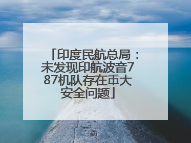 印度民航总局：未发现印航波音787机队存在重大安全问题