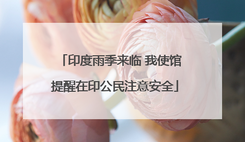 印度雨季来临 我使馆提醒在印公民注意安全