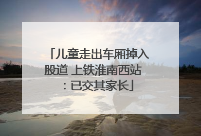儿童走出车厢掉入股道 上铁淮南西站：已交其家长