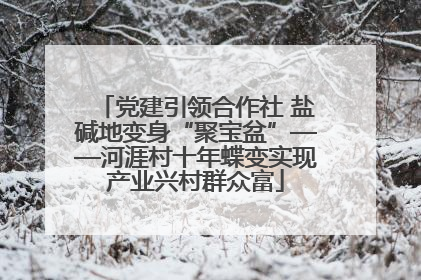 党建引领合作社 盐碱地变身“聚宝盆”——河涯村十年蝶变实现产业兴村群众富