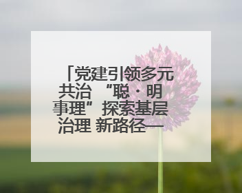 党建引领多元共治 “聪・明事理”探索基层治理 新路径——月湖区化工厂社区新实践