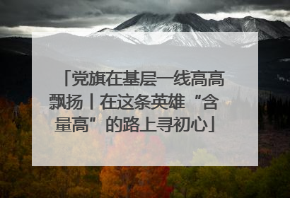 党旗在基层一线高高飘扬丨在这条英雄“含量高”的路上寻初心
