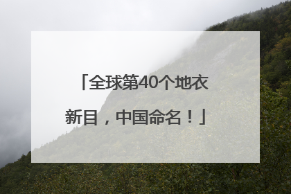 全球第40个地衣新目，中国命名！