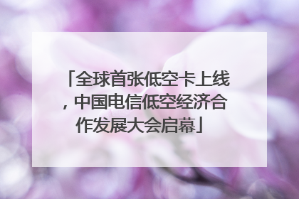 全球首张低空卡上线，中国电信低空经济合作发展大会启幕