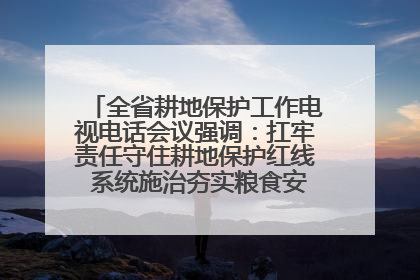全省耕地保护工作电视电话会议强调：扛牢责任守住耕地保护红线 系统施治夯实粮食安全根基 王宁作出批示 王予波出席并讲话