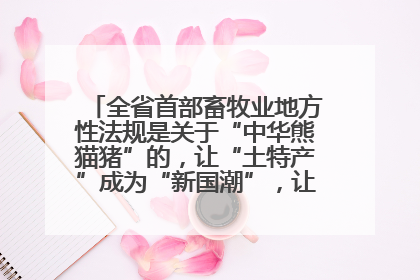 全省首部畜牧业地方性法规是关于“中华熊猫猪”的，让“土特产”成为“新国潮”，让“农产品”升格为“城市IP”