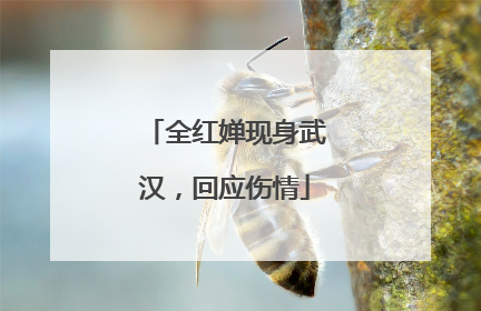全红婵现身武汉，回应伤情