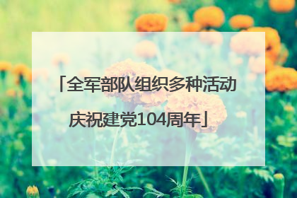 全军部队组织多种活动庆祝建党104周年