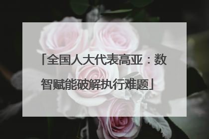 全国人大代表高亚：数智赋能破解执行难题
