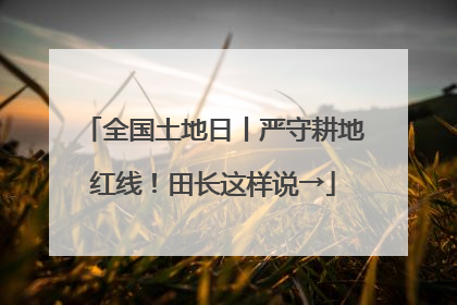 全国土地日丨严守耕地红线！田长这样说→