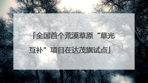 全国首个荒漠草原“草光互补”项目在达茂旗试点