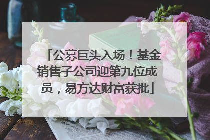 公募巨头入场！基金销售子公司迎第九位成员，易方达财富获批
