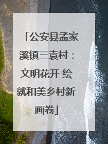 公安县孟家溪镇三袁村：文明花开 绘就和美乡村新画卷