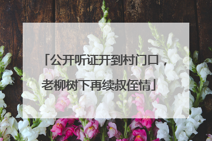 公开听证开到村门口，老柳树下再续叔侄情