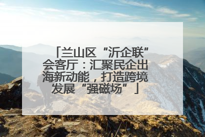 兰山区“沂企联”会客厅：汇聚民企出海新动能，打造跨境发展“强磁场”