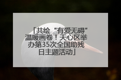 共绘“有爱无碍”温暖画卷！天心区举办第35次全国助残日主题活动