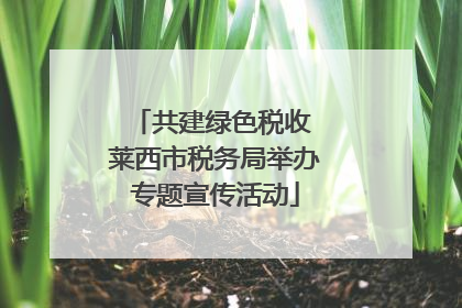 共建绿色税收 莱西市税务局举办专题宣传活动