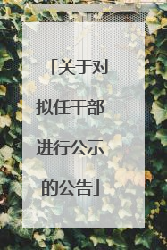 关于对拟任干部进行公示的公告