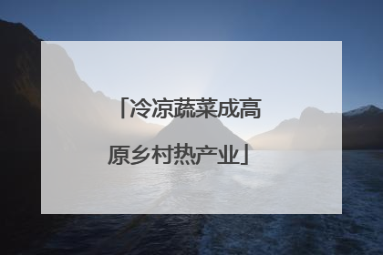 冷凉蔬菜成高原乡村热产业