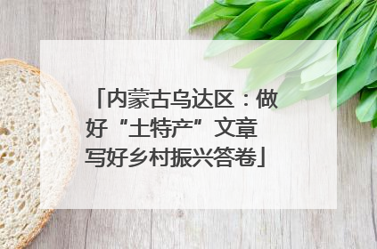 内蒙古乌达区：做好“土特产”文章 写好乡村振兴答卷