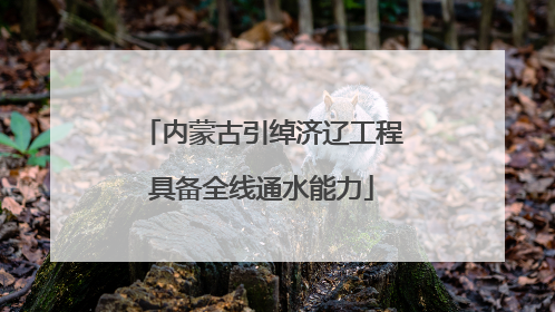 内蒙古引绰济辽工程具备全线通水能力