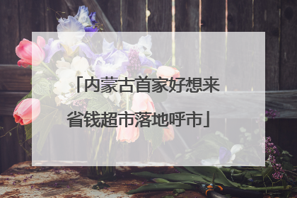 内蒙古首家好想来省钱超市落地呼市