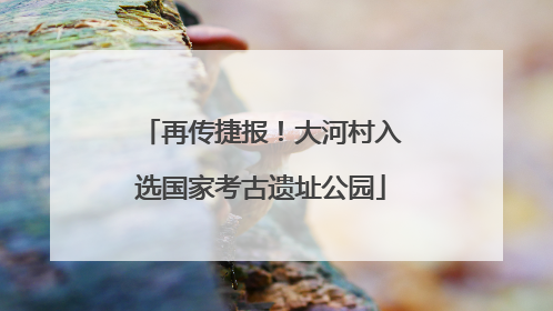再传捷报！大河村入选国家考古遗址公园