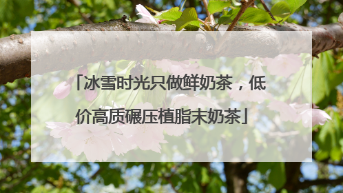 冰雪时光只做鲜奶茶，低价高质碾压植脂末奶茶