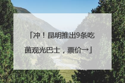 冲！昆明推出9条吃菌观光巴士，票价→