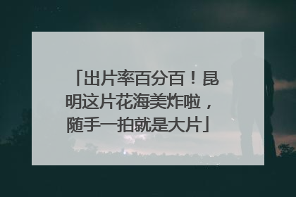 出片率百分百！昆明这片花海美炸啦，随手一拍就是大片