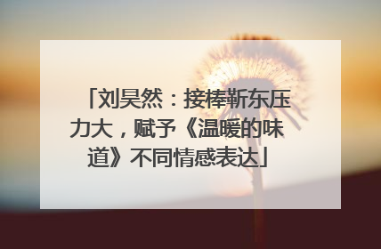刘昊然：接棒靳东压力大，赋予《温暖的味道》不同情感表达