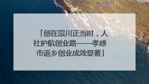 创在澴川正当时，人社护航创业路——孝感市返乡创业成效显著