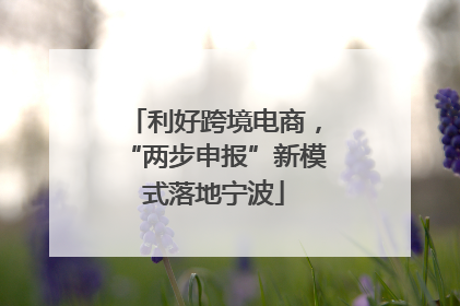 利好跨境电商，“两步申报”新模式落地宁波