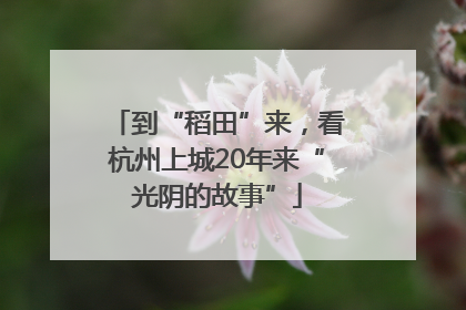 到“稻田”来，看杭州上城20年来“光阴的故事”
