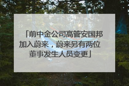 前中金公司高管安国邦加入蔚来，蔚来另有两位董事发生人员变更