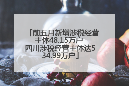 前五月新增涉税经营主体48.15万户 四川涉税经营主体达534.99万户