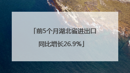 前5个月湖北省进出口同比增长26.9%