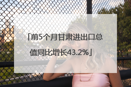 前5个月甘肃进出口总值同比增长43.2%