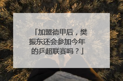 加盟德甲后，樊振东还会参加今年的乒超联赛吗？