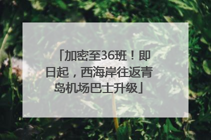 加密至36班！即日起，西海岸往返青岛机场巴士升级