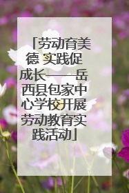 劳动育美德 实践促成长——岳西县包家中心学校开展劳动教育实践活动
