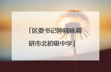 区委书记钟晓咏调研市北初级中学