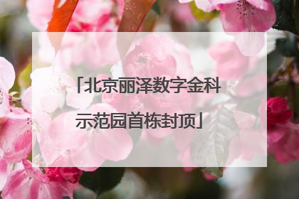 北京丽泽数字金科示范园首栋封顶