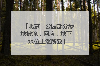 北京一公园部分绿地被淹，回应：地下水位上涨所致