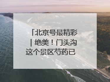 北京号最精彩｜绝美！门头沟这个景区芍药已花开成海