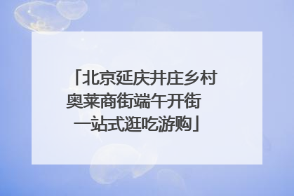 北京延庆井庄乡村奥莱商街端午开街 一站式逛吃游购