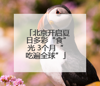 北京开启夏日多彩“食”光 3个月“吃遍全球”