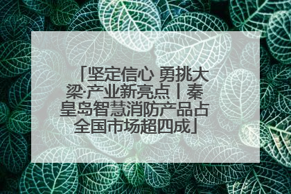 坚定信心 勇挑大梁·产业新亮点丨秦皇岛智慧消防产品占全国市场超四成