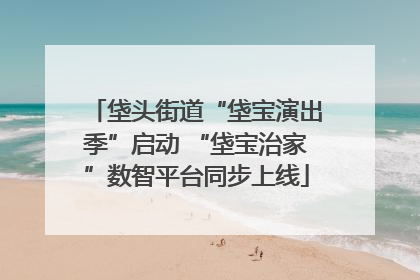 垡头街道“垡宝演出季”启动 “垡宝治家”数智平台同步上线